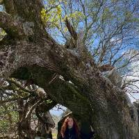 Alum standing under trees bending sideways in forest